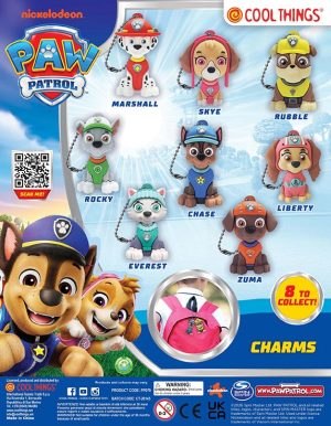 Paw Patrol Charms